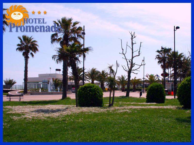 Hotel Promenade Porto SantʼElpidio Exteriör bild
