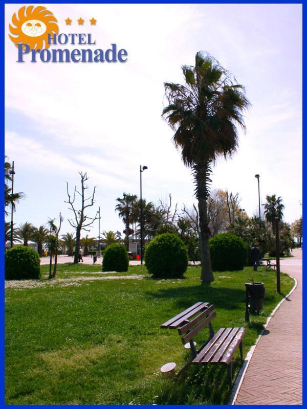 Hotel Promenade Porto SantʼElpidio Exteriör bild